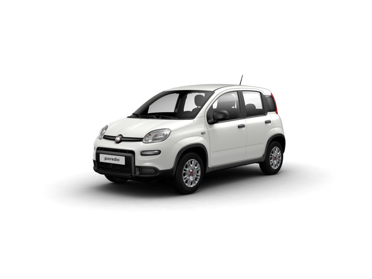 FIAT PANDA HIBRIDO  White 2024